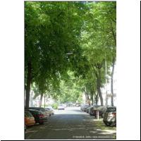 2020-05-21 Malfattigasse Allee.jpg